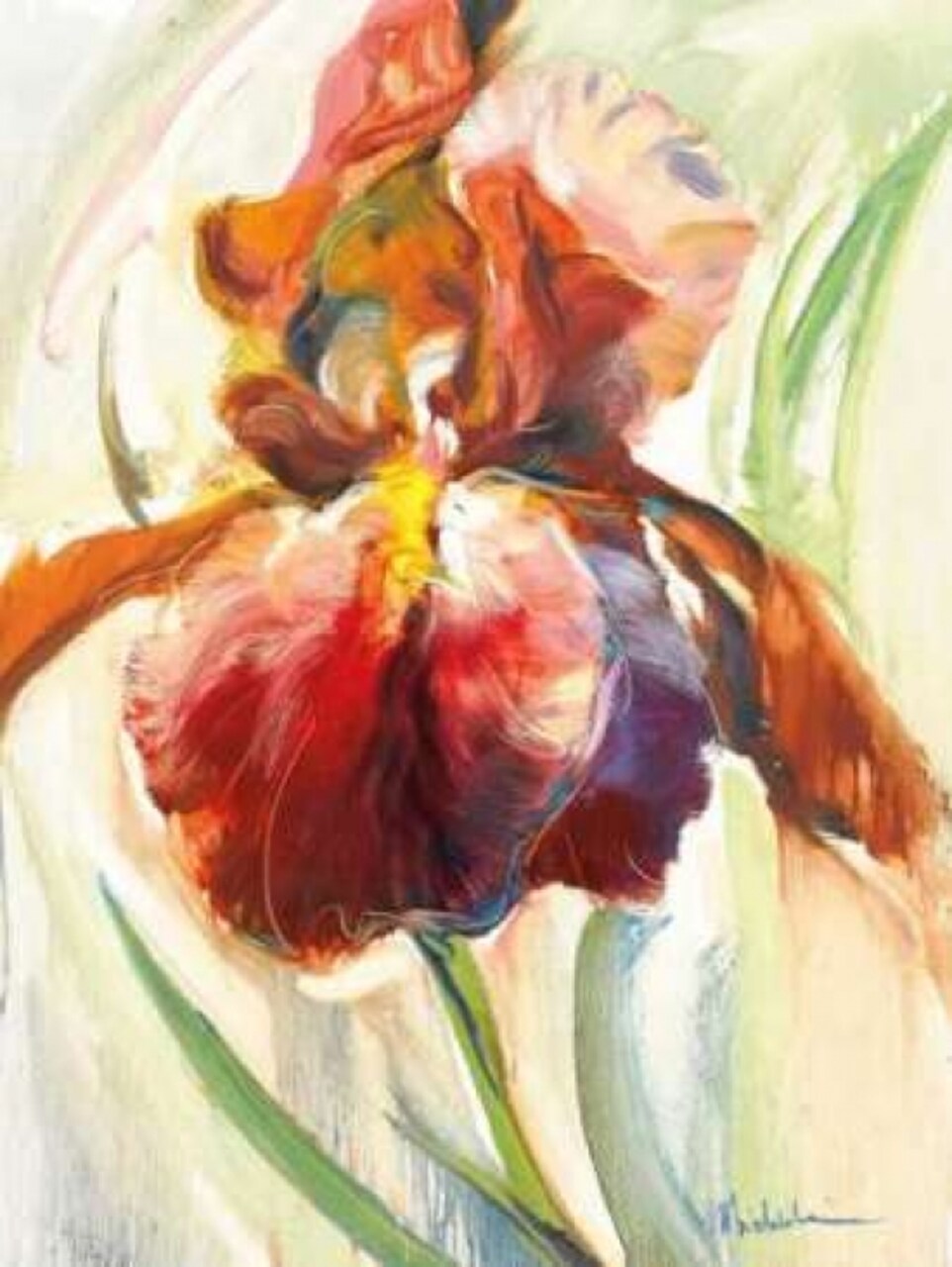 Colors of Iris II Poster Print by Maria Zielinska - Item # VARPDXZMP103